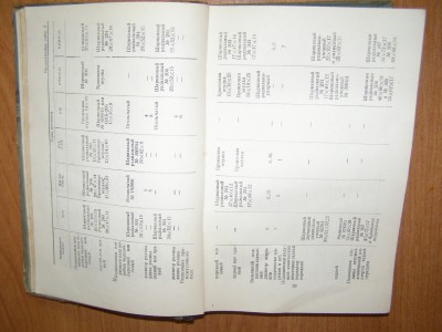 P1010990.JPG