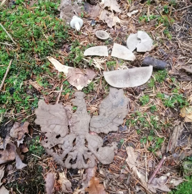 IMG_20200913_140106.jpg