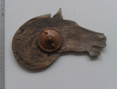 20201005_171455.jpg