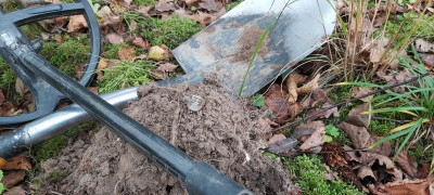 20201020_140209.jpg