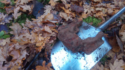 IMG_20201104_160821_0.jpg