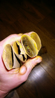 IMG-20201129-WA0013.jpg