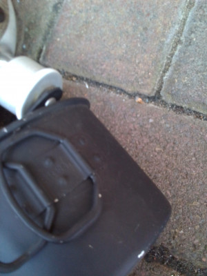 IMG_20201215_111522.jpg