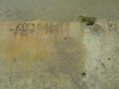 DSC00249.JPG
