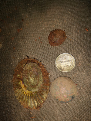 IMG-20201220-WA0000.jpg
