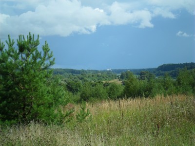 SAM_0729.JPG