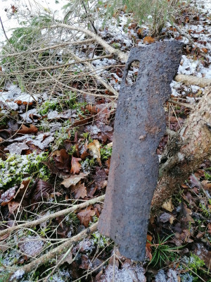 IMG_20201226_134424.jpg
