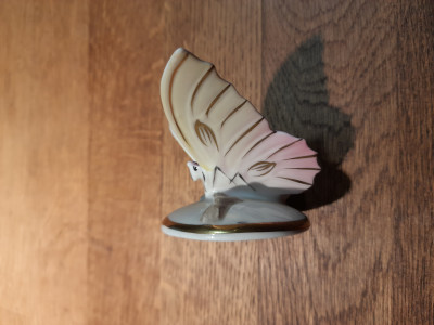 20201222_175923.jpg