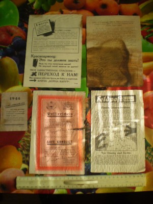 P1010001.JPG