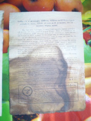 P1010009.JPG