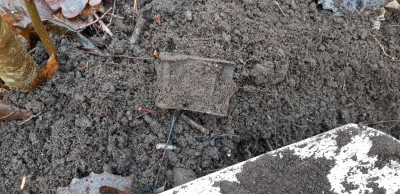 20201231_153236.jpg