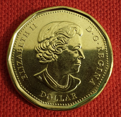 Канада 1 доллар 2016 Лаки Луни 2.jpg
