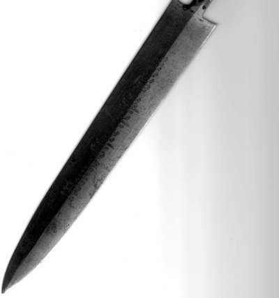 img132.jpg