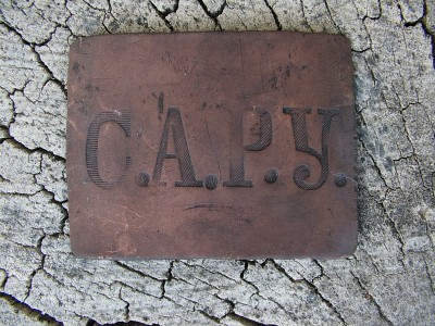 IMGP7706.JPG