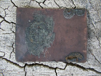 IMGP7707.JPG