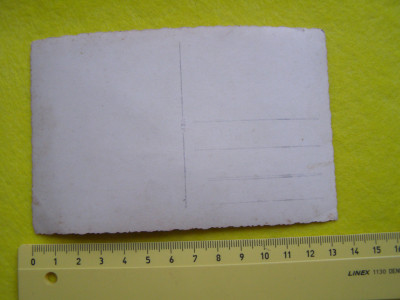 P1011740.JPG