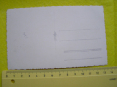 P1011744.JPG