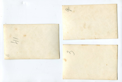 img367.jpg