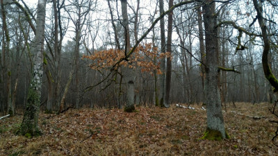 P_20210123_113839.jpg