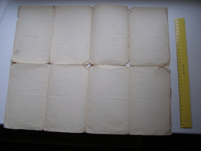 P1011831.JPG