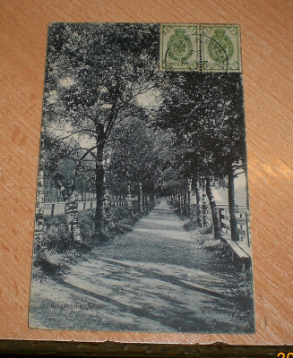CIMG8796.JPG