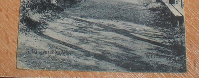CIMG8796.JPG