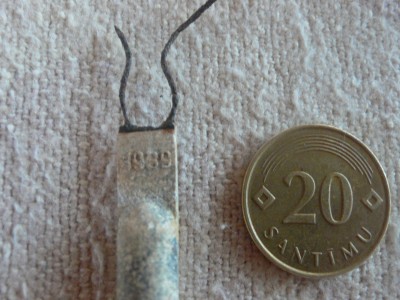 P1080201.JPG