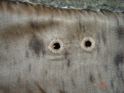 Picture 9001.jpg