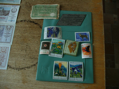 IMGP9380.JPG