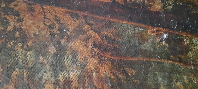 20210217_110819.jpg