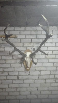IMG_20210216_143552.jpg
