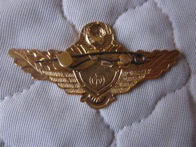 2 ЗНАЧКИ 004.JPG