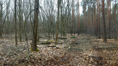 P_20210219_110616.jpg