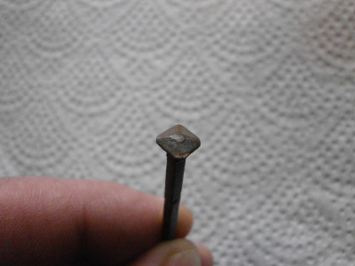 P1010693.JPG