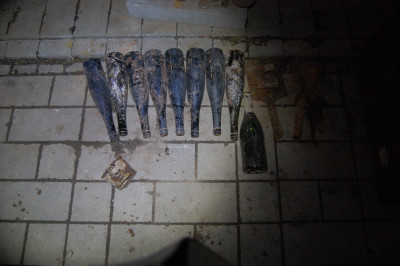 DSC_1335.JPG