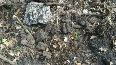 P_20210423_105214.jpg
