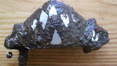 DSCF0961.JPG
