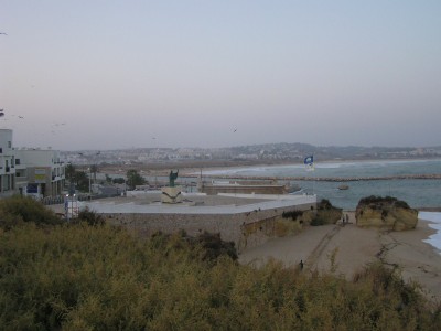 P1010001.JPG