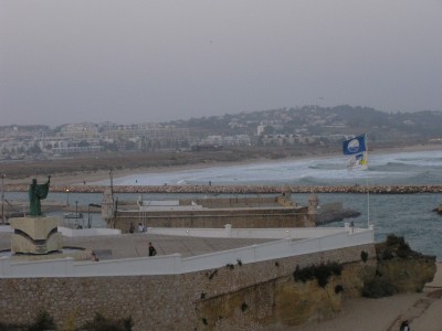 P1010021.JPG
