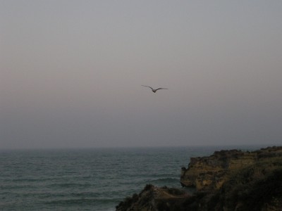 P1010017.JPG
