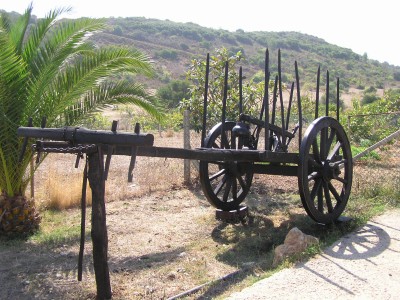 P1010036.JPG