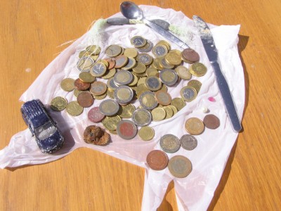 P1010004.JPG