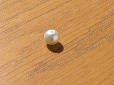 P1010013.JPG