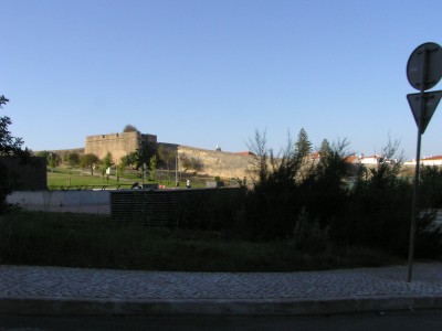 P1010303.JPG