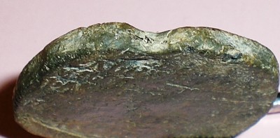 CIMG1352.JPG