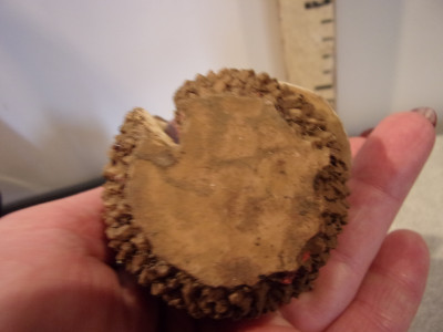 105_1851.JPG