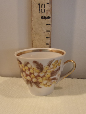 105_1986.JPG