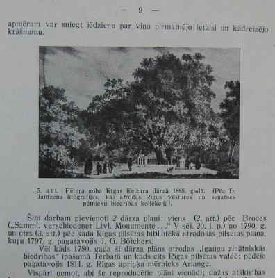 PARKS 03.JPG