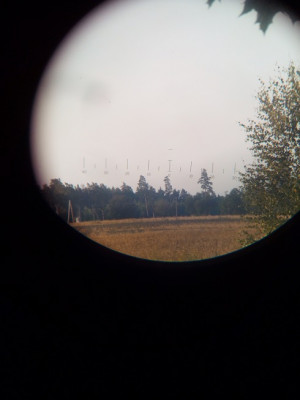 IMG_20210724_061422[1].jpg
