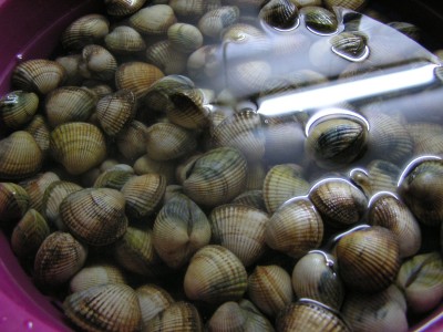 P1010036.JPG